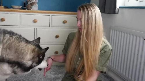 狗狗最新爆料视频大全图片,萌宠瞬间大盘点，笑料十足！  第3张